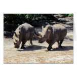Side by Side Rhinos Card