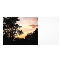 Silhouette of Trees at Sunset Picture Card