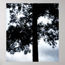 SilhouetteTree Poster