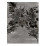 Silk Array Postcard