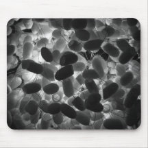 Silk Cocoon Mouse Pad