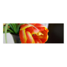 Silk Tulip Bookmark Business Card Templates