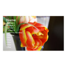 Silk Tulip Business Card