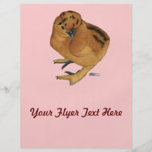 Silkie Red Chick Full Colour Flyer