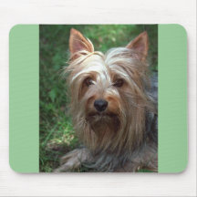 Silky Toy Terrier Mouse Pad