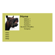 Silly Horse Business Card