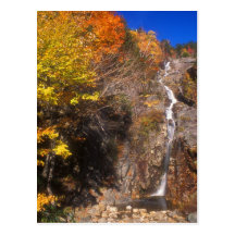 Silver Cascade Foliage Post Card