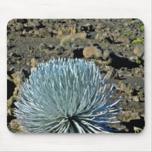 Silver Desert Plant Mousepad