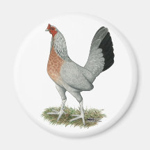 Silver Duckwing Game Hen Fridge Magnet