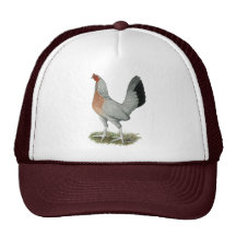 Silver Duckwing Game Hen Mesh Hats
