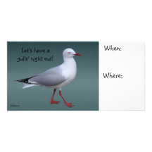 Silver Gull Photocard Picture Card