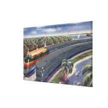 Silver Meteors "Seaboard" in Florida Highlands Stretched Canvas Prints