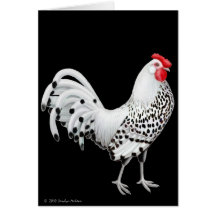 Silver Spangled Hamburg Rooster Card