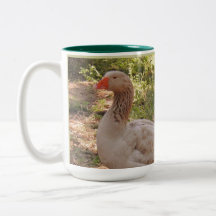 Silver Spring Waterfowl Coffee Mug "Henry"