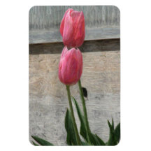 Simple Beauty Rectangle Magnets