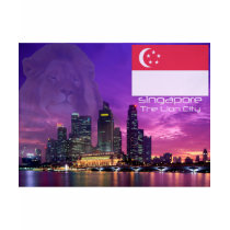 Singapore Shirts