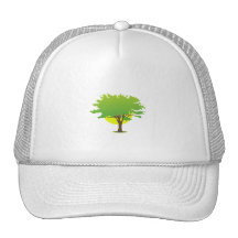 Single oak tree sun behind graphic mesh hat