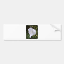 Single Pale Flower Bumper Stickers