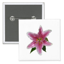 Single Stargazer Lily Pinback Buttons