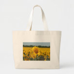 Single Sunflower in a Field of Sunflowers Tote Bags