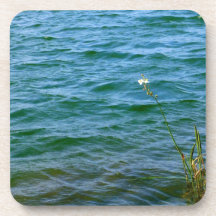 Single white flower water reed pond beverage coaster
