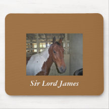Sir Lord James  - A Paint Horse Mouse Mats