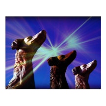 Sirius Dog Stars Postcards