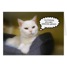 Sister White Cat Birthday Humour Card