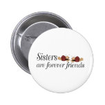 Sisters are forever friends pin