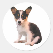 Sitting Cardigan Welsh Corgi Puppy Sticker