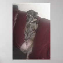 Sitting Dog! Print