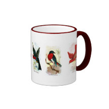 Six Assorted Birds Natural History Mug