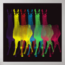 six llamas in six colours poster