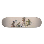 Skateboard (Untitled)