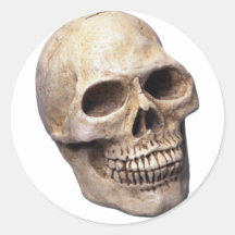 Skull bone stickers