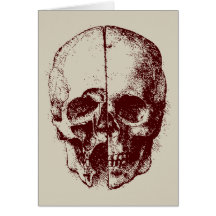 skull greeting cards
