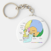Skull (lateral) keychain