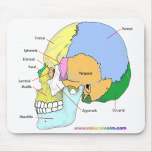 Skull (lateral) mouse pad