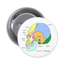 Skull (lateral) pinback button