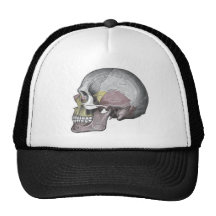 skulls hat