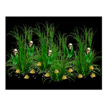 Skulls in the Weeds Post Cards