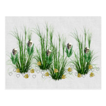 Skulls in the Weeds Post Cards