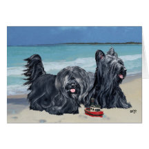 Skye Terriers, Beach Day! Card