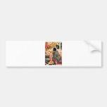 Sleeping Beauty Bumper Stickers