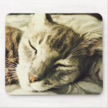 Sleeping Cat Mousepads