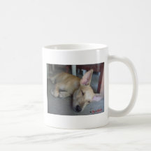Sleeping Chihuahua Coffee Mugs