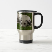 Sleeping Dalmation laying in field Mug