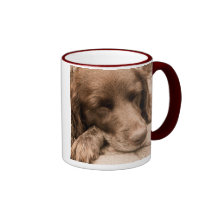 Sleeping Dog Coffee Mug