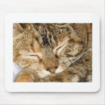 Sleeping Kitty Mousepad