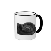Sleeping Lab Coffee Mug